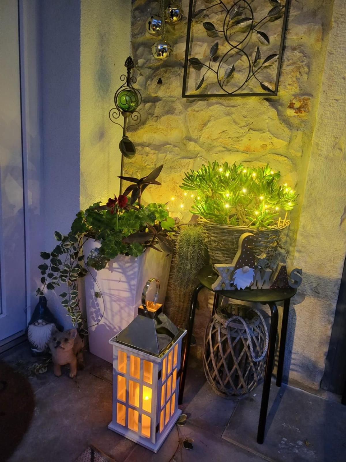 Villa Amore Radini Istrian Romantic Studio With Private Parking And Terrace 布罗托尼贾 外观 照片