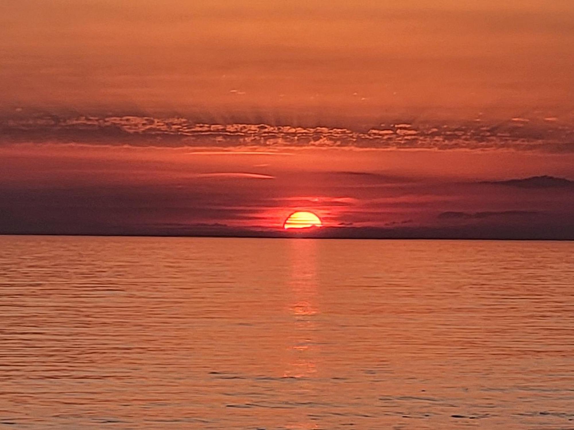 Villa Amore Radini Istrian Romantic Studio With Private Parking And Terrace 布罗托尼贾 外观 照片