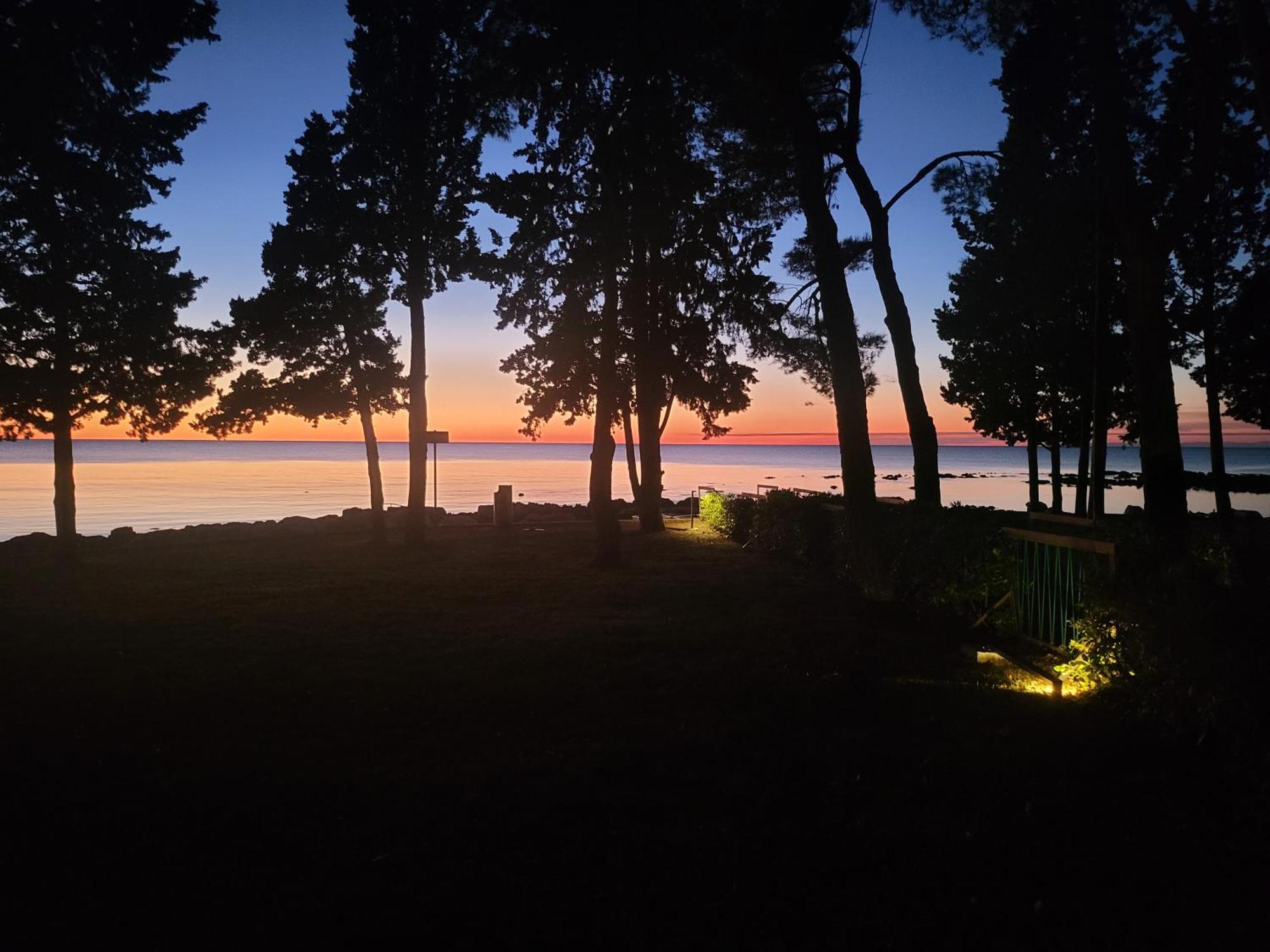 Villa Amore Radini Istrian Romantic Studio With Private Parking And Terrace 布罗托尼贾 外观 照片