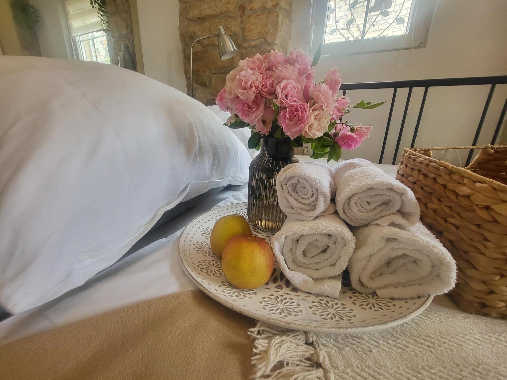 Villa Amore Radini Istrian Romantic Studio With Private Parking And Terrace 布罗托尼贾 外观 照片